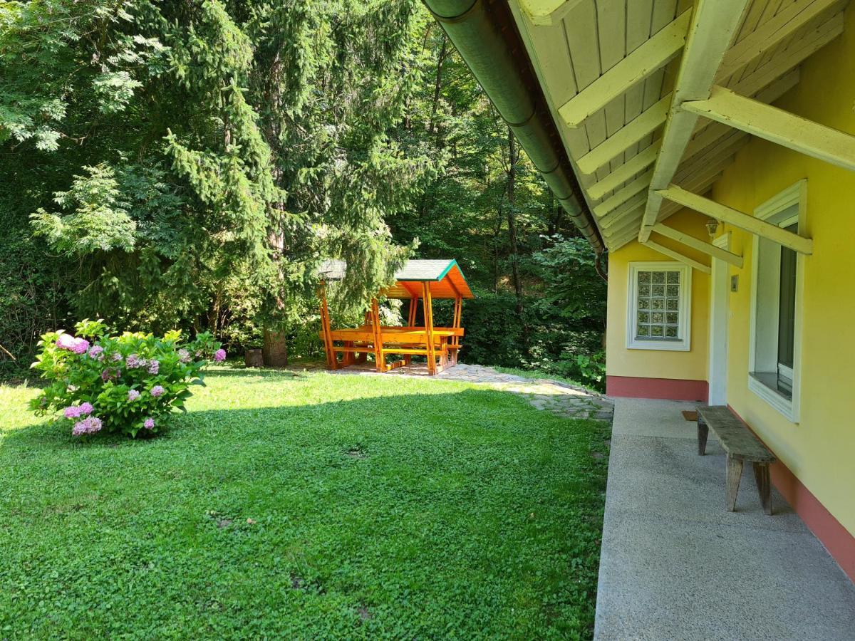 Apartment Vintgar Slovenska Bistrica Exterior photo